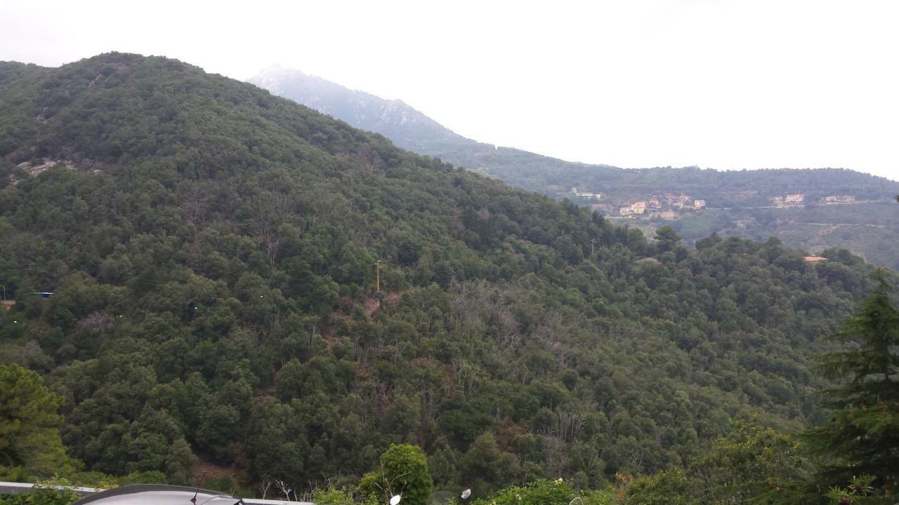 Appartamento La Casalina dell'Elba Marciana  Esterno foto