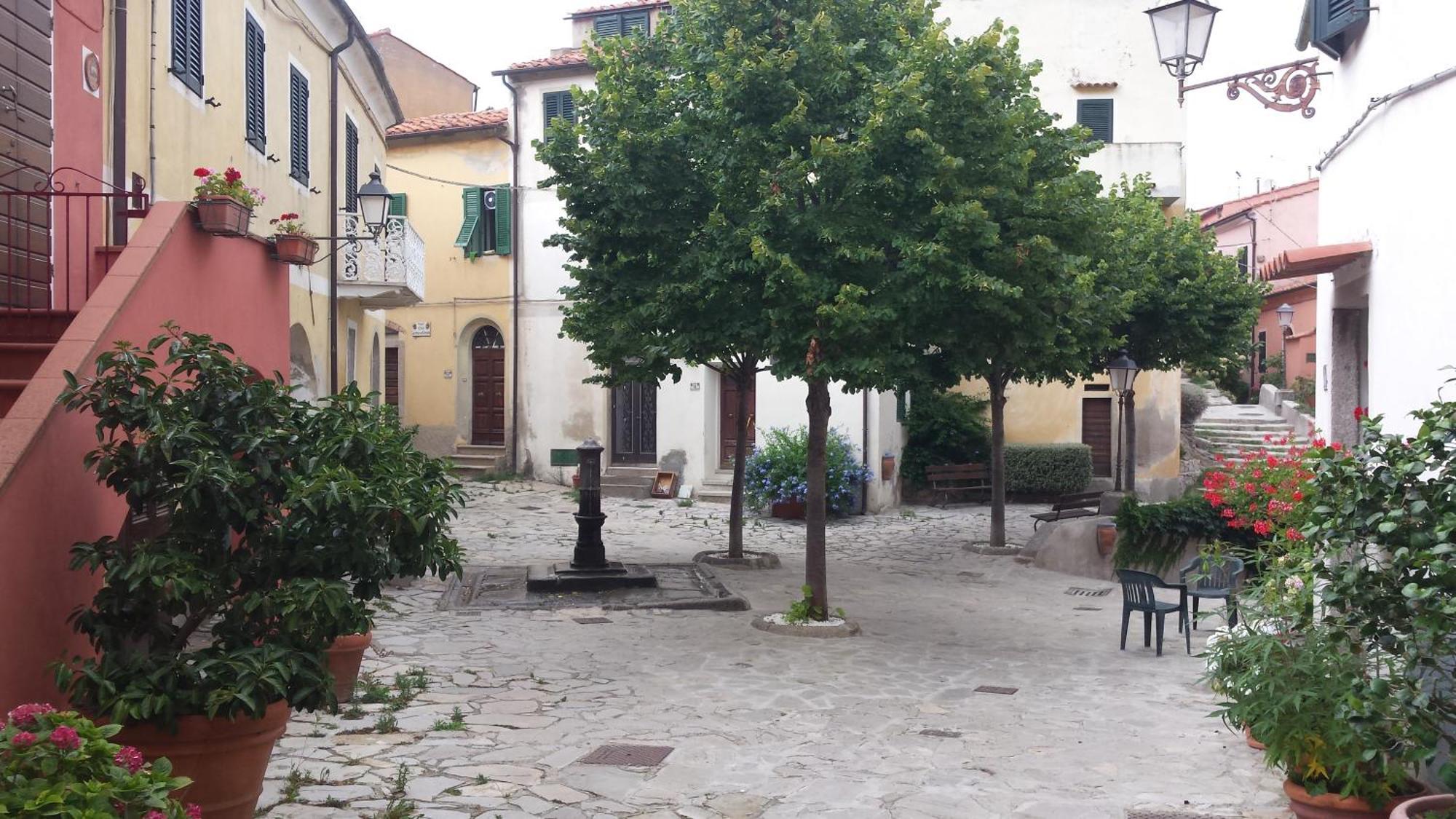 Appartamento La Casalina dell'Elba Marciana  Esterno foto